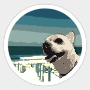 Chihuahua Beach Sticker